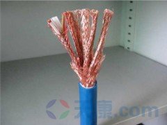 天康本安防爆計算機電纜 天康本安防爆計算機電纜